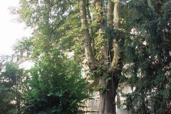 20180823_091308